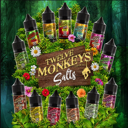 TWELVE MONKEYS SALT NICOTINE