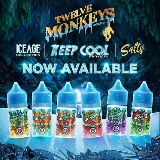 TWELVE MONKEY SALTNIC ICED